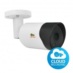 IP Outdoor Surveillance Camera