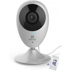 IP Indoor Surveillance Camera