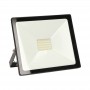 Floodlight LEDO LED 30W