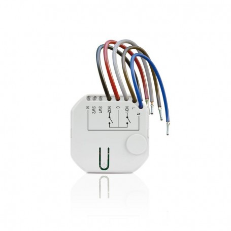 Smart 2-CH Relay