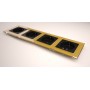 Socket Glass