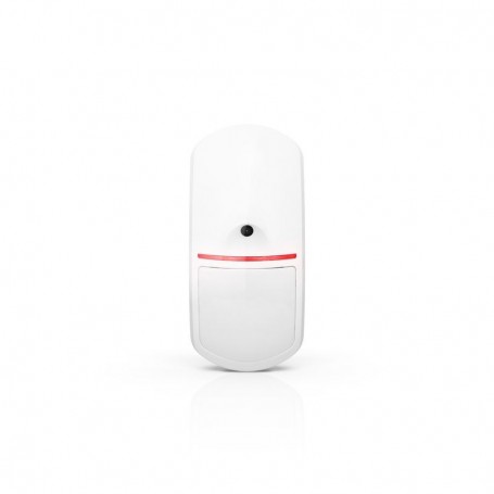 Motion Detector Cam