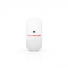 Motion Detector Cam