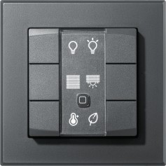 Radio Switch