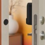 Dot 3-pack, BL