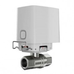 Water detector