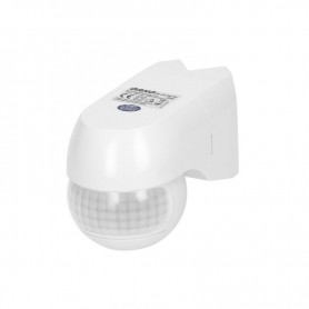 OR-CR-262/W