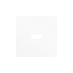 ZS55 – HDMI Auslass