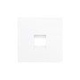 ZS55 - RJ45 outlet - 1 ZS55 - RJ45 outlet - 1
