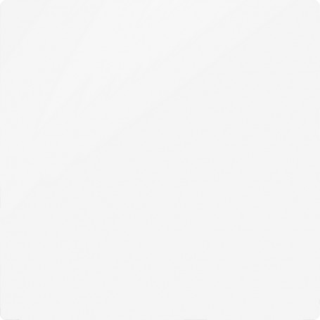 ZS55. Blind cover ZS55. Blind cover