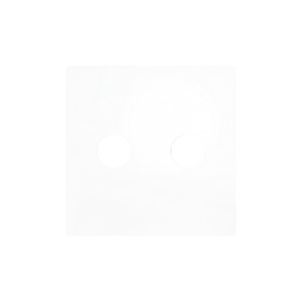 ZS55 – RCA audio outlet