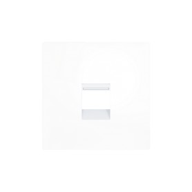 ZS55 - RJ45 outlet - 1